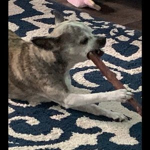 Meet your Posher, Angie